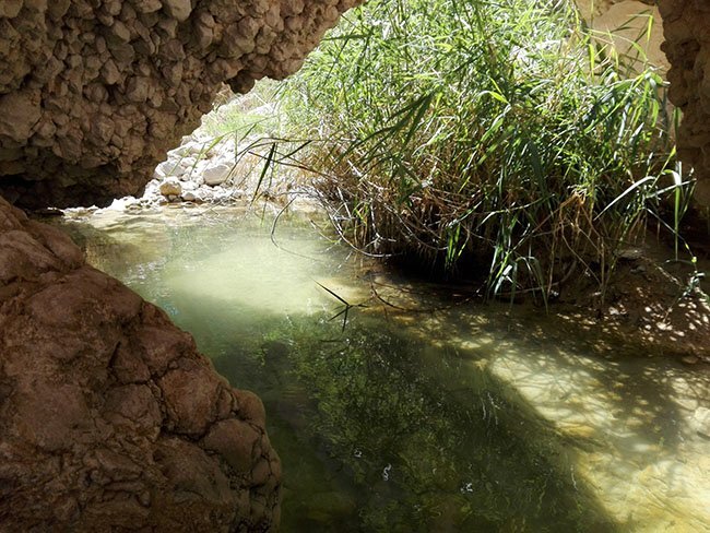 روستایی با ۱۹۵۰ نفر در دل فامنین 