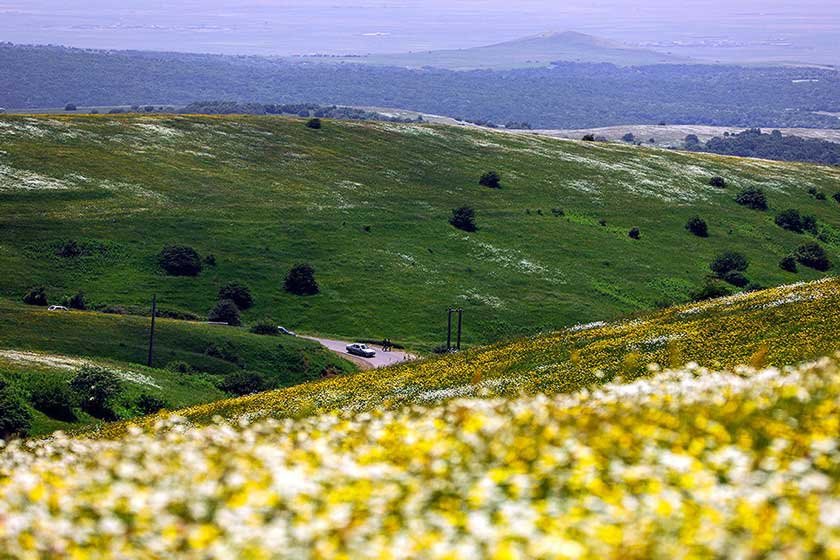 جنگل فندقلو اردبیل؛تکه‌ای از بهشت گمشده