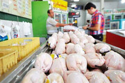افزایش قیمت مرغ به ۸۰ تا ۹۰ هزار تومان!