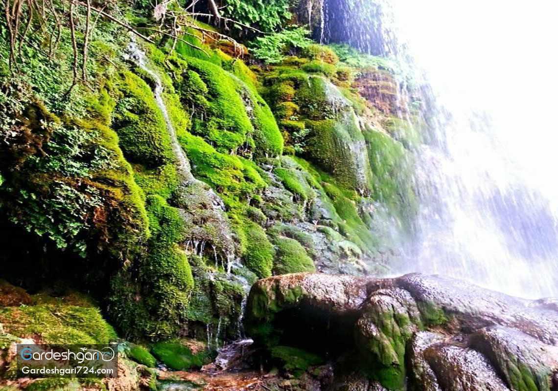 آبشاری در دل جنگل‌های کازرون 