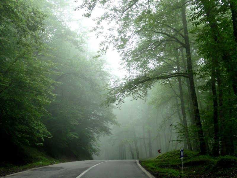 جنگل عباس آباد کجاست