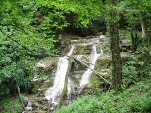 آبشارهایی چشم‌نواز در میان جنگل‌های انبوه 