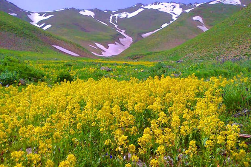 ییلاقی رویایی در قعر ماهنشان 