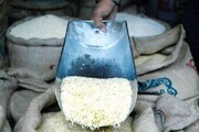 قیمت برنج ایرانی گران شد + قیمت جدید