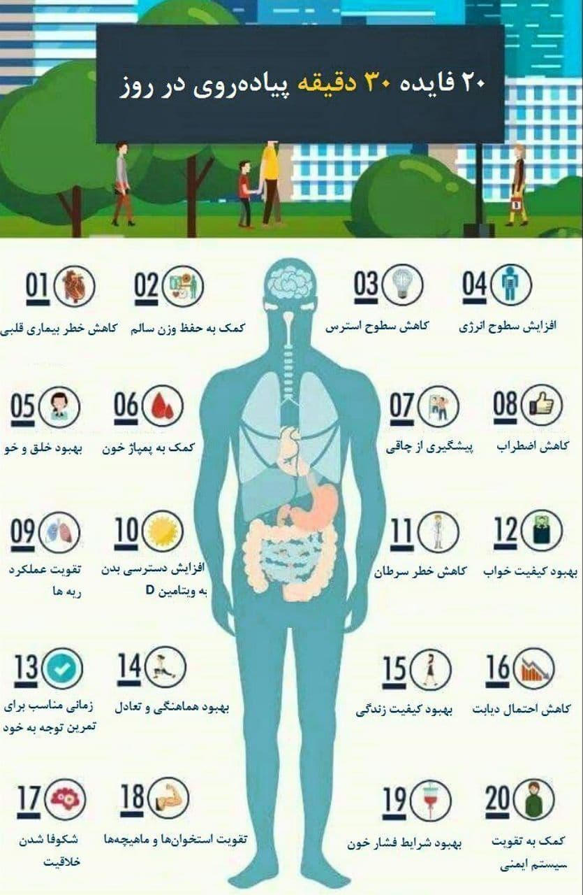 به این دلایل هرروز ۳۰ دقیقه پیاده روی کنید! + عکس