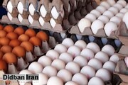 افزایش دوباره قیمت تخم مرغ / هر شانه تخم مرغ ۱۲۰ هزار تومان شد