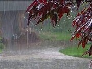 گزارش هواشناسی ۱۲ آبان ۱۴۰۱ / این استان‌ها امروز بارانی می‌شوند