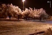 بارش اولین برف پاییزی در اصفهان + فیلم