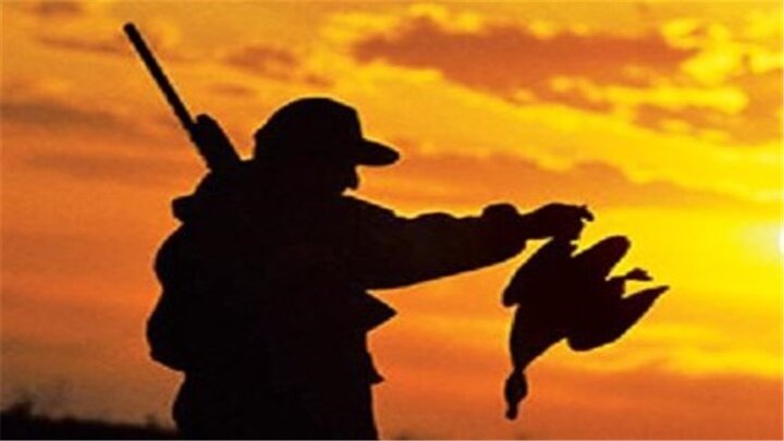 کشف ۲۵ سلاح غیرمجاز از شکارچیان پرندگان مهاجر در مازندران + فیلم