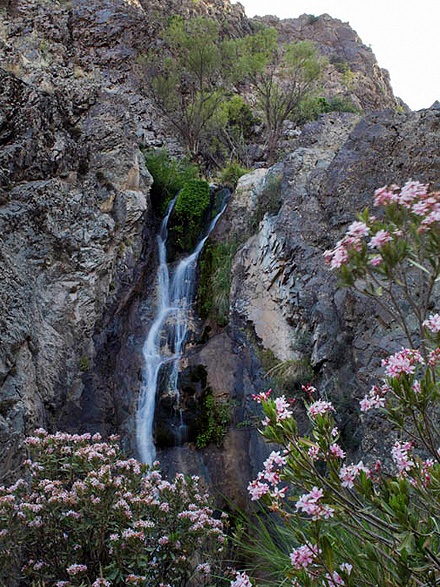 دره گلم ؛ آبشاری حیرت‌انگیز در دل جیرفت 