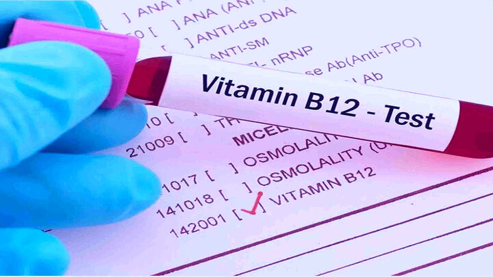 خطر کمبود ویتامین B12 برای گیاه‌خواران
