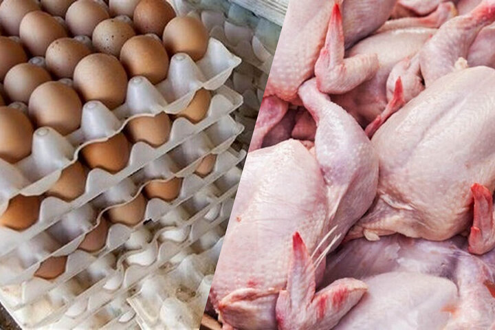جدیدترین قیمت مرغ و تخم مرغ در بازار