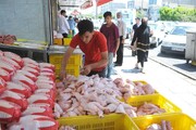 علت فروش مرغ بالاتر از نرخ مصوب چیست؟