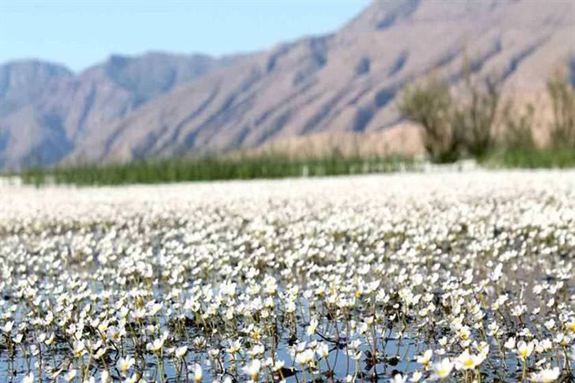 بندونِ تالابی زیبا در دل ایذه 