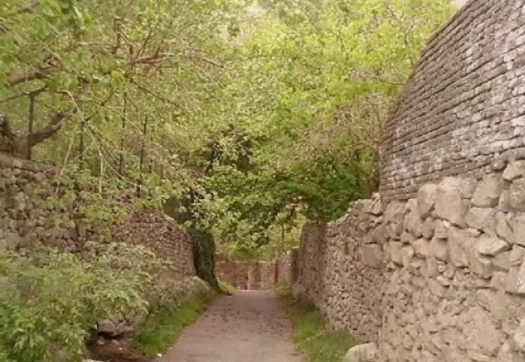 روستای وینه جاده چالوس