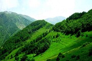 فاصله رستم آباد تا لاهیجان