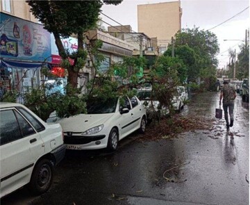 اعلام هشدار وزش باد شدید در تهران