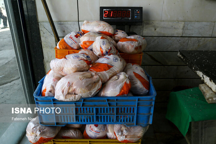قیمت مرغ کاهشی شد / قیمت در مرغ مغازه‌های سطح شهر تهران چند؟