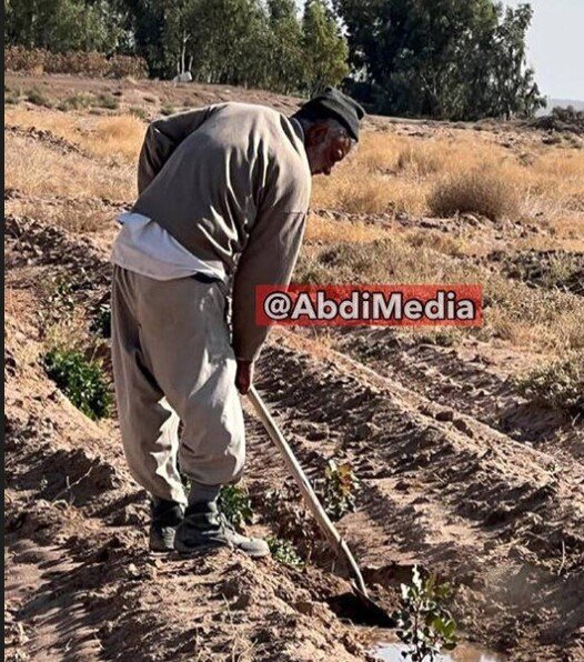 تصاویری عجیب از وزیر کشاورزی دولت روحانی در حال بیل زدن روی زمین