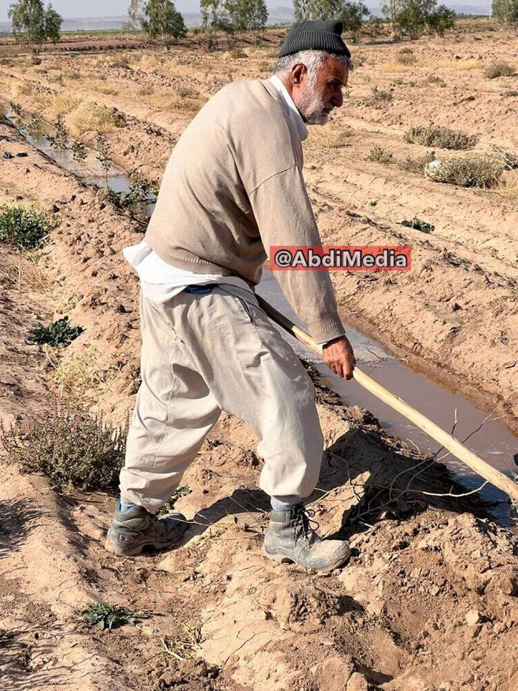 حیرت آور، البته در ایران! /  وزیر کشاورزی روحانی با بیل و لباس کار در زمین کشاورزی 