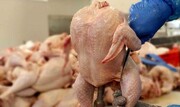 مرغ  ۸ هزار تومان ارزان شد / هر کیلو مرغ در بازار چند؟