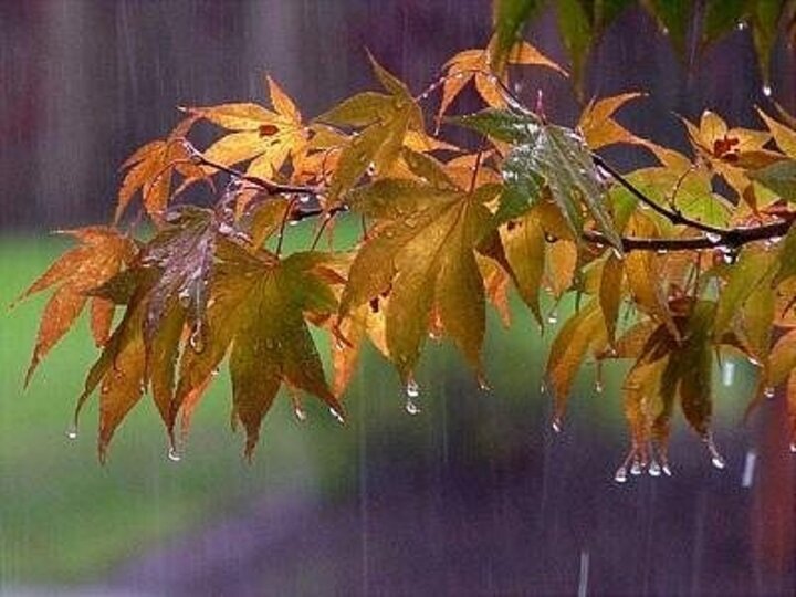 گزارش هواشناسی برای جمعه ۴ آذر ۱۴۰۱ / بارش‌ باران و سرمای شدید در ۱۲ استان کشور