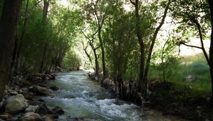 مسیر روستای ارنگه جاده چالوس