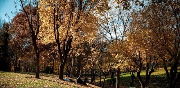 تصاویر دیدنی از طبیعت زیبای پاییز تهران