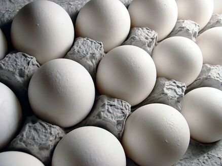 تخم مرغ باز هم گران شد / هر شانه تخم‌مرغ چند؟
