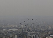 گزارش نگران‌کننده یک پژوهش جدید درباره آلودگی هوا / تولد سالانه یک میلیون جنین مُرده در جهان بر اثر  هوای آلوده