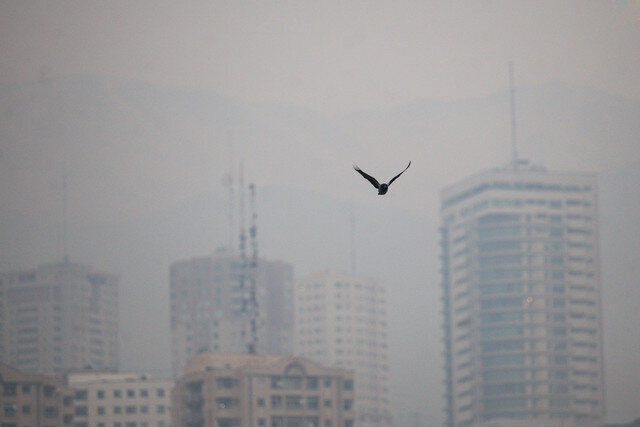 تهران نفس ندارد / شاخص آلودگی هوا به ۱۴۰ رسید