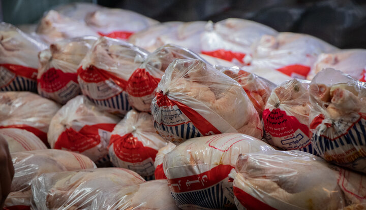 قیمت مرغ تازه به ۶۲ هزار و ۵۰۰ تومان رسید 