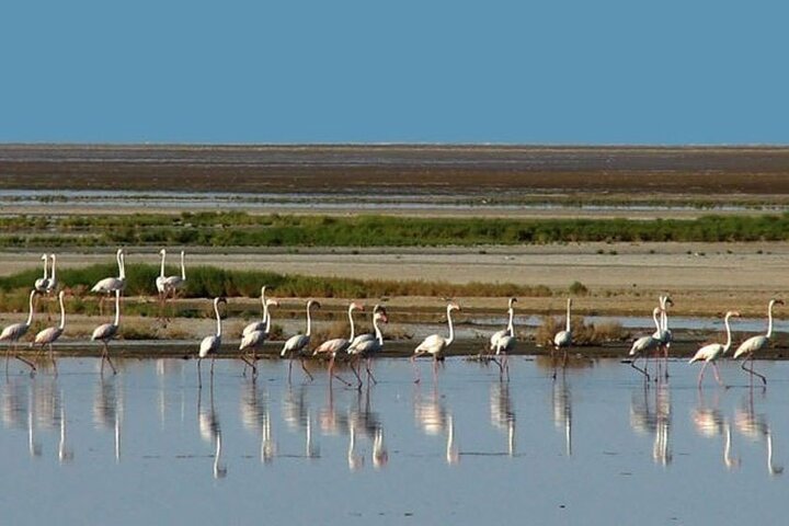 بورآلان؛ تالابی وصفنشدنی در ماکو بورآلان؛ تالابی وصفنشدنی در ماکو