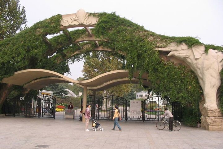 باغ وحش شانگهای