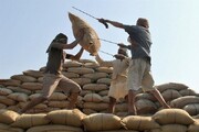 ممنوعیت واردات برنج و چای هندی به کشور