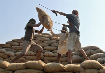 توقف واردات برنج و چای هندی تایید شد