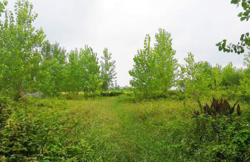 معرفی روستای نارنجبندبن