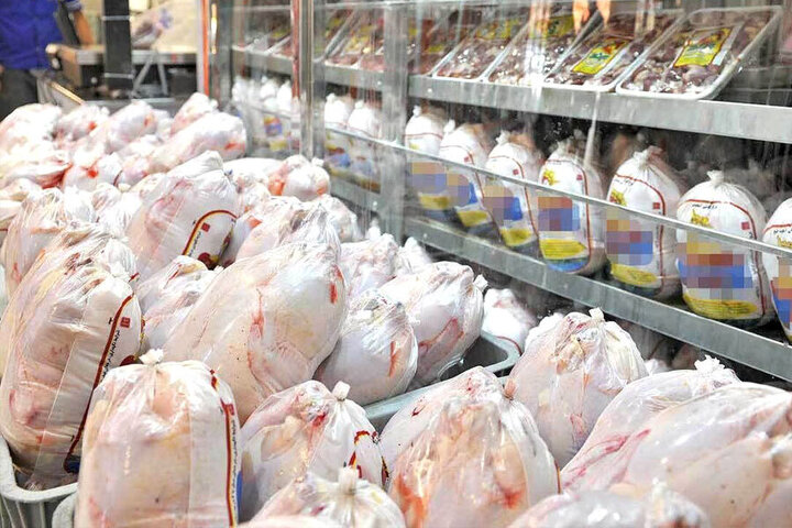 خرید مرغ افزایش یافت / قیمت مرغ با نرخ مصوب چقدر فاصله دارد؟