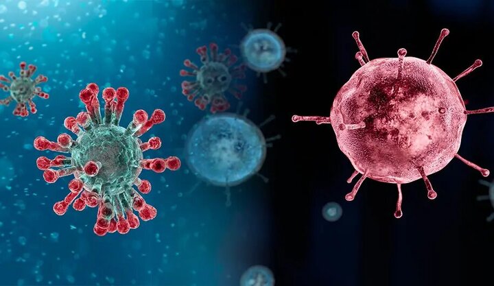 احتمال شیوع مجدد آنفلوآنزا در زمستان / سوش غالب آنفلوآنزا در کشور چیست؟