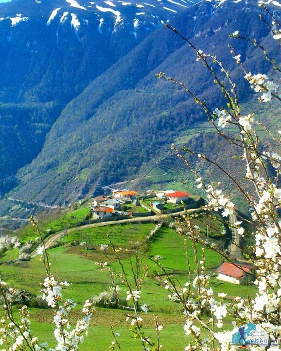 آشنایی با روستای سده رامسر