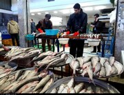 بازار ماهی فروشان تنکابن