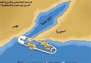 لغو انتقال مالکیت ۲ جزیره قطر به عربستان