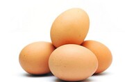 قیمت هر شانه تخم‌مرغ در بازار چند؟