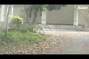 حمله وحشتناک پلنگ به یک خودرو ون در جاده + فیلم