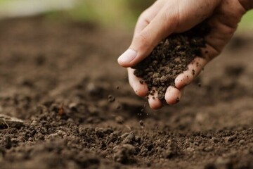 چند هزار سال زمان می برد تا یک سانتیمتر خاک ایجاد شود؟ | قدر خاک را بیشتر بدانید!