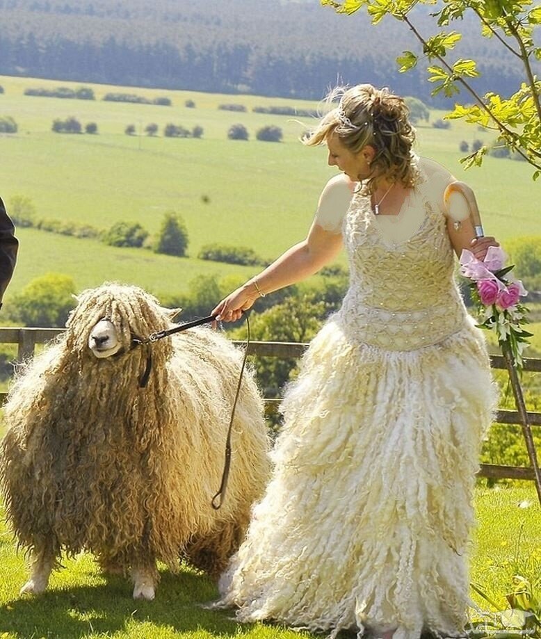 مدل عروس با لباس عروس عجیب