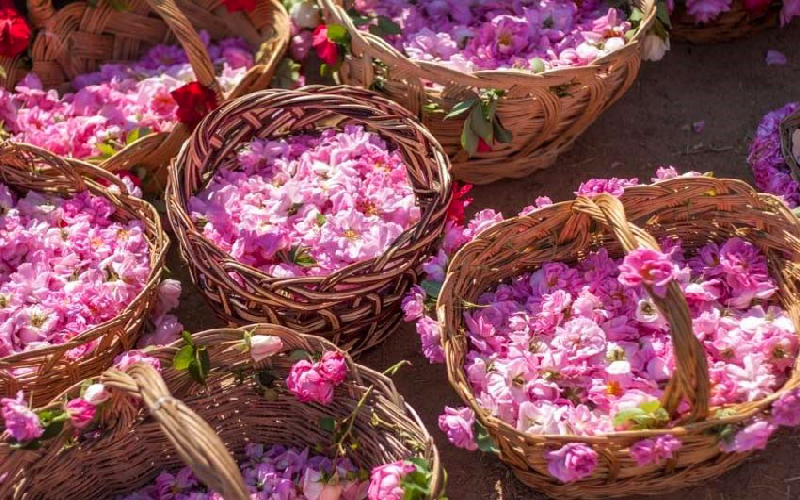 نکاتی که درباره کاشان باید بدانید!