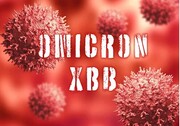 خبر بد دانشمندان ژاپنی درباره کرونای XBB