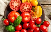 سلامت روده با مصرف گوجه فرنگی