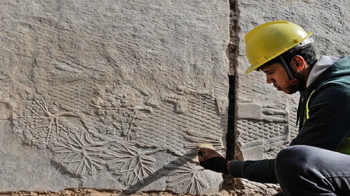 کشف فسیل‌های زنده ۵۵۰ میلیون ساله عجیب + فیلم